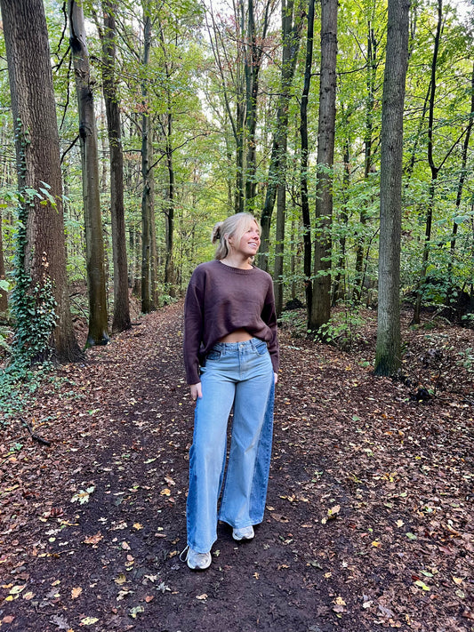 Pull Pauline Bruin